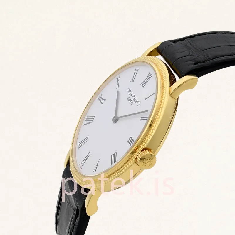 Patek Philippe Calatrava 5120J-001 Men's 36mm Gold-tone Automatic